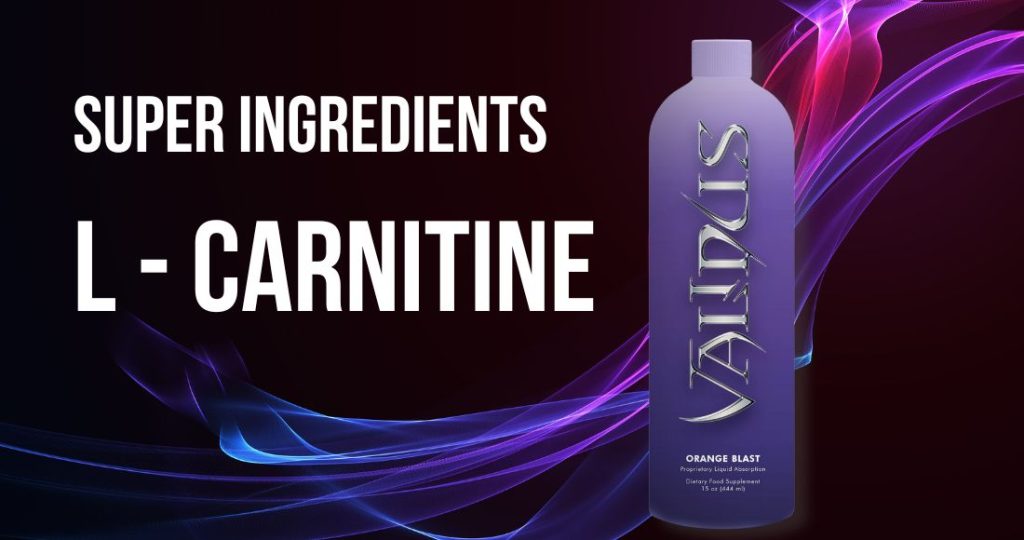 L Carnitine